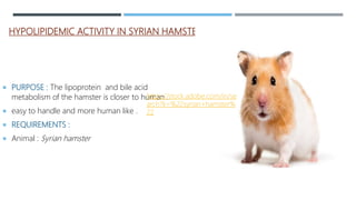 HYPOLIPIDEMIC ACTIVITY IN SYRIAN HAMSTERS
 PURPOSE : The lipoprotein and bile acid
metabolism of the hamster is closer to human .
 easy to handle and more human like .
 REQUIREMENTS :
 Animal : Syrian hamster
https://stock.adobe.com/in/se
arch?k=%22syrian+hamster%
22
 