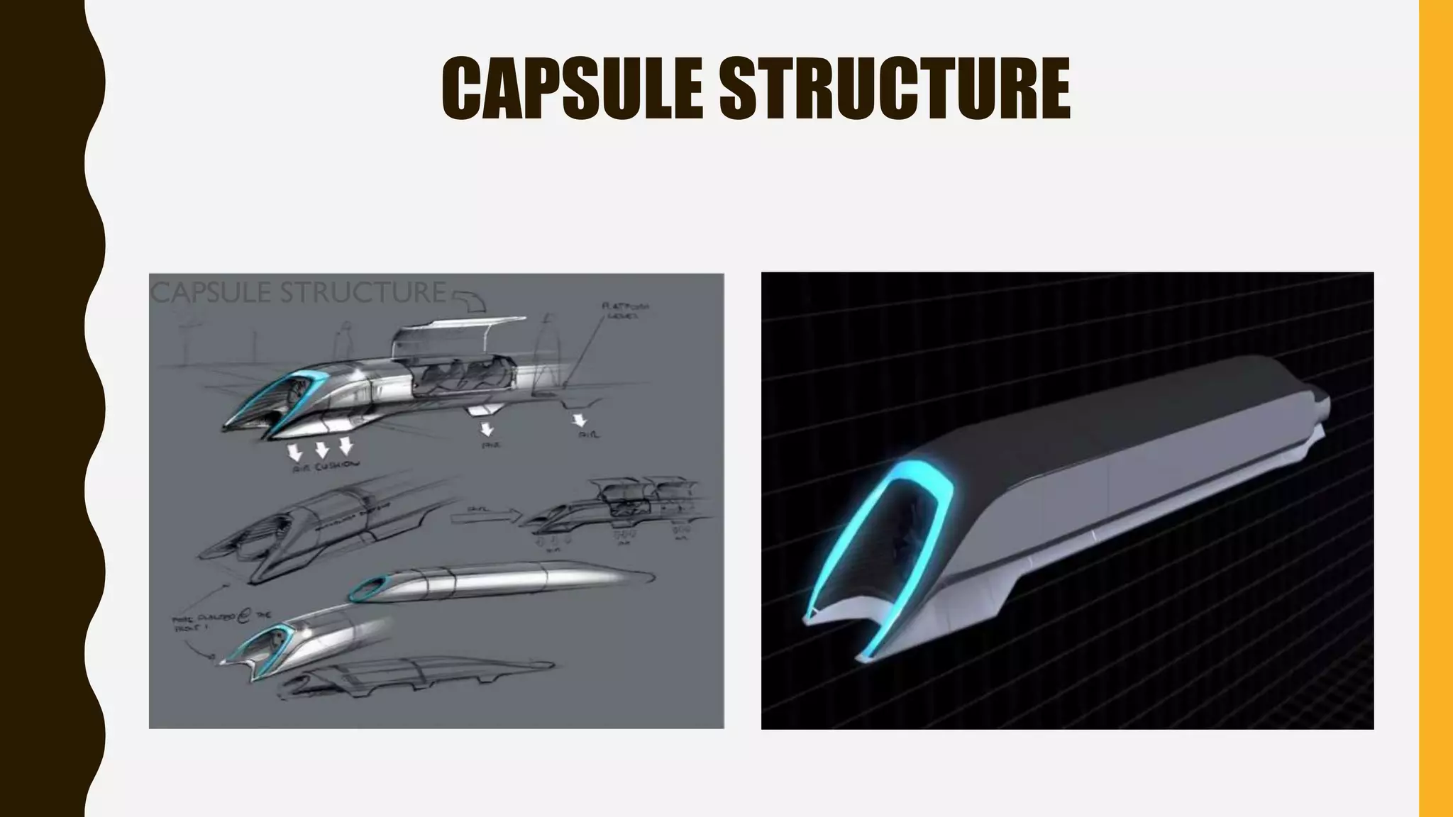 CAPSULE STRUCTURE
CAPSULE STRUCTURE
 