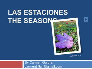 LAS ESTACIONES
THE SEASONS
By Carmen García.
carmen8illan@gmail.com
 