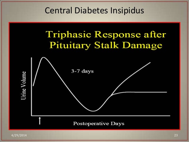 Diabetesinsipidus Gejala Penyebab Dan Mengobati