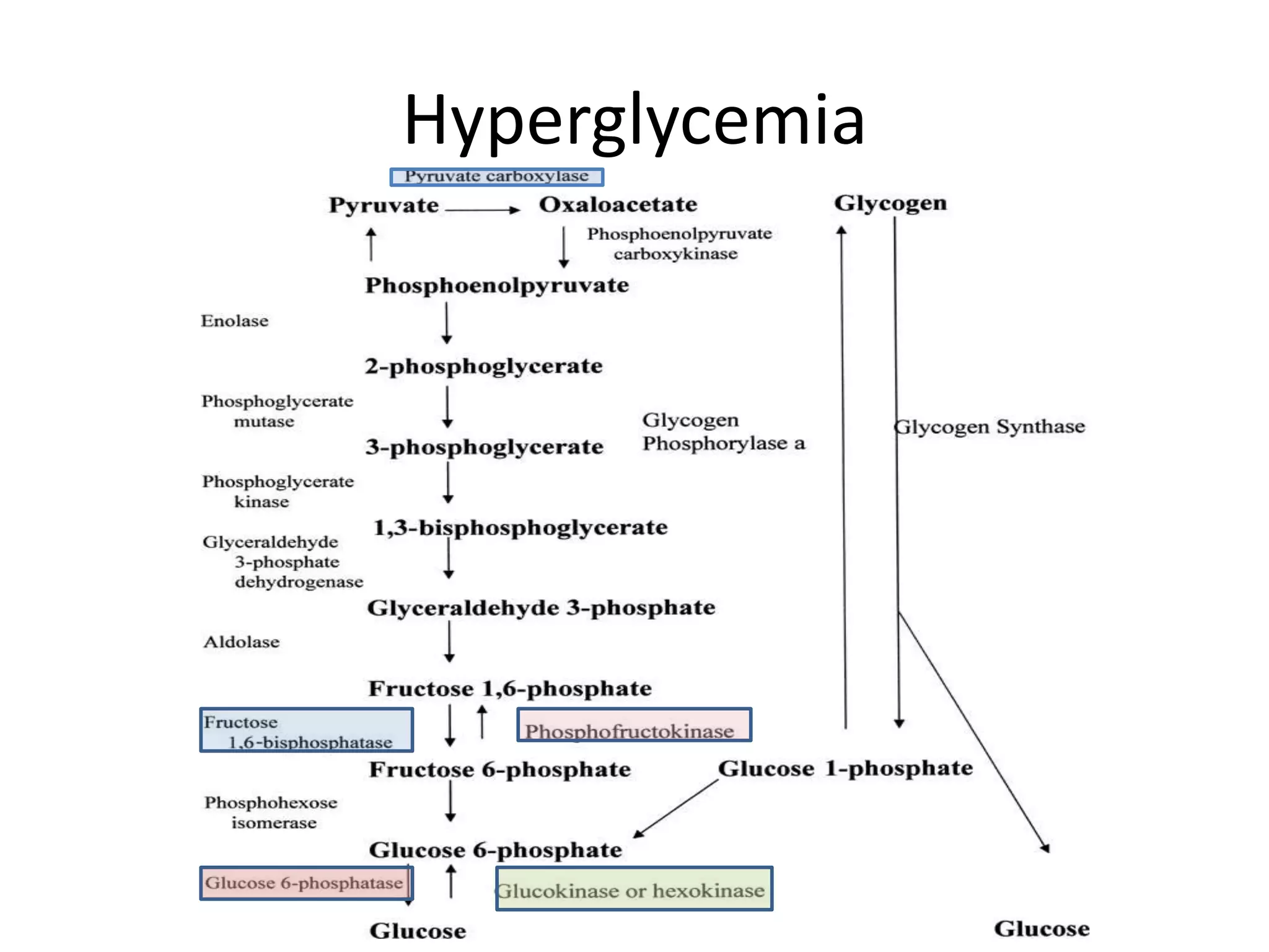 Hyperglycemia
 