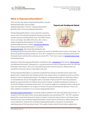 The New York Center for Advanced Parathyroid Surgery
                                                                               15 Maple Avenue | Warwick, NY 10990
                                                                                              Toll Free: 888-760-0966




What is Hyperparathyroidism?
There are two main types of hyperparathyroidism, primary
hyperparathyroidism and secondary
hyperparathyroidism. The term "hyperparathyroidism"
generally refers to primary hyperparathyroidism.

Primary hyperparthyroidism is most commonly caused by
one or more of the parathyroid glands forming a tumor that
secretes excessive parathyroid hormone. Over 95% of these
tumors are benign. Over 80% of the time, this is from a
single enlarged parathyroid gland. This enlarged
parathyroid gland tumor is called a parathyroid adenoma.
Rarely primary hyperparathyroidism is caused by
parathyroid cancer. Normal parathyroid glands stop
secreting parathyroid hormone (PTH) in response to normal or elevated calcium levels in the blood. The
abnormal parathyroid adenoma does not "turn-off" in response to a normal or elevated calcium level in
the blood stream and therefore continues to secrete PTH. This in turn causes an elevated calcium level
in the blood stream.

Symptoms of primary hyperparathyroidism include bone pain, osteoporosis (thin bones), kidney stones,
and abdominal discomfort. Osteoporosis is caused by excessive action of osteoclasts which are cells that
break down bone tissue. This in turn may lead to bone pain and even fractures. Kidney stones are
caused from excessive calcium in the kidney and urine.

Primary hyperparathyroidism is usually first suspected from having an elevated calcium level in the
blood stream. Usually either this elevated calcium level, kidney stones or osteoporosis lead to a further
workup to rule out hyperparathyroidism. The diagnosis of hyperparathyroidism is made when there is
an elevated blood calcium level together with an elevated or high normal PTH. Normal parathyroid
glands are suppressed with an elevated calcium level; however a parathyroid adenoma continues to
secrete PTH despite an elevated calcium level. This is how the diagnosis is ultimately made. In almost all
cases, the recommendation is for surgery to remove the abnormal parathyroid adenoma. There is no
other medicine or treatment to cure primary hyperparathyroidism.

Secondary hyperparathyroidism is caused by medical conditions that cause low blood calcium levels. In
response to this low calcium level, the parathyroid glands react and produce PTH. The PTH is elevated
beyond the normal limits because the body is trying to increase the calcium levels in the blood stream.
Conditions that cause secondary hyperparthyroidism include vitamin D deficiency, kidney disease and
calcium deficiency. Treatment for secondary hyperparathyroidism is focused on correcting the
underlying cause of the low calcium levels. This usually includes vitamin D and calcium supplements.

advancedparathyroid.com                                                                                       Page 1
 