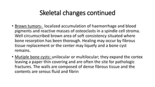 Skeletal changes continued
• Brown tumors- localized accumulation of haemorrhage and blood
pigments and reactive masses of osteoclasts in a spindle cell stroma.
Well circumscribed brown area of soft consistency situated where
bone resorption has been thorough. Healing may occur by fibrous
tissue replacement or the center may liquefy and a bone cyst
remains.
• Mutiple bone cysts: unilocular or multilocular; they expand the cortex
leaving a paper thin covering and are often the site for pathologic
fractures. The walls are composed of dense fibrous tissue and the
contents are serous fluid and fibrin
 