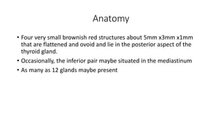 Anatomy
• Four very small brownish red structures about 5mm x3mm x1mm
that are flattened and ovoid and lie in the posterior aspect of the
thyroid gland.
• Occasionally, the inferior pair maybe situated in the mediastinum
• As many as 12 glands maybe present
 