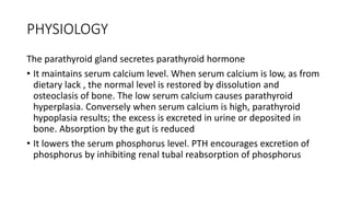 PHYSIOLOGY
The parathyroid gland secretes parathyroid hormone
• It maintains serum calcium level. When serum calcium is low, as from
dietary lack , the normal level is restored by dissolution and
osteoclasis of bone. The low serum calcium causes parathyroid
hyperplasia. Conversely when serum calcium is high, parathyroid
hypoplasia results; the excess is excreted in urine or deposited in
bone. Absorption by the gut is reduced
• It lowers the serum phosphorus level. PTH encourages excretion of
phosphorus by inhibiting renal tubal reabsorption of phosphorus
 