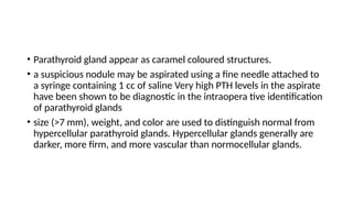 • Parathyroid gland appear as caramel coloured structures.
• a suspicious nodule may be aspirated using a fine needle attached to
a syringe containing 1 cc of saline Very high PTH levels in the aspirate
have been shown to be diagnostic in the intraopera tive identification
of parathyroid glands
• size (>7 mm), weight, and color are used to distinguish normal from
hypercellular parathyroid glands. Hypercellular glands generally are
darker, more firm, and more vascular than normocellular glands.
 