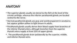 ANATOMY
• The superior glands usually are dorsal to the RLN at the level of the
cricoid cartilage, whereas the inferior parathyroid glands are located
ventral to the nerve.
• Normal parathyroid glands are gray and semitransparent in newborns
but appear golden yellow to light brown in adults.
• Parathyroid glands usually derive their blood supply from branches of
the inferior thyroid artery, although branches from the superior
thyroid artery supply at least 20% of upper glands
• . The parathyroid glands drain ipsilaterally by the superior, middle,
and inferior thyroid veins.
 