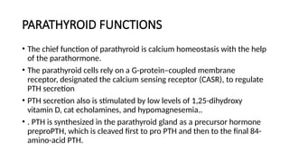 PARATHYROID FUNCTIONS
• The chief function of parathyroid is calcium homeostasis with the help
of the parathormone.
• The parathyroid cells rely on a G-protein–coupled membrane
receptor, designated the calcium sensing receptor (CASR), to regulate
PTH secretion
• PTH secretion also is stimulated by low levels of 1,25-dihydroxy
vitamin D, cat echolamines, and hypomagnesemia..
• . PTH is synthesized in the parathyroid gland as a precursor hormone
preproPTH, which is cleaved first to pro PTH and then to the final 84-
amino-acid PTH.
 