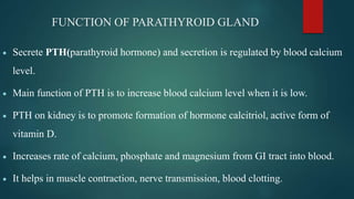 FUNCTION OF PARATHYROID GLAND
 Secrete PTH(parathyroid hormone) and secretion is regulated by blood calcium
level.
 Main function of PTH is to increase blood calcium level when it is low.
 PTH on kidney is to promote formation of hormone calcitriol, active form of
vitamin D.
 Increases rate of calcium, phosphate and magnesium from GI tract into blood.
 It helps in muscle contraction, nerve transmission, blood clotting.
 
