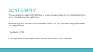 Pre operative knowledge of the likelihood of an ectopic superior gland in the tracheoesophageal
groove facilitates surgical exploration.
Parathyroid glands are composed of chief cells, oxyphil cells, and transitional oxyphil cells mixed
with adipose tissue.
 Chief cells  PTH.
 The oxyphil cells are packed with mitochondria, and their function is unknown.
 