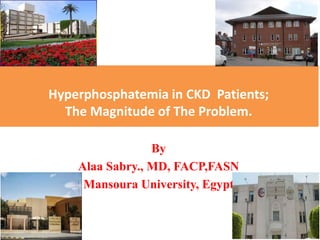 Hyperphosphatemia in CKD Patients;
The Magnitude of The Problem.
By
Alaa Sabry., MD, FACP,FASN
Mansoura University, Egypt
 