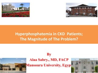 Hyperphosphatemia in CKD Patients;
The Magnitude of The Problem?
By
Alaa Sabry., MD, FACP
Mansoura University, Egypt
 