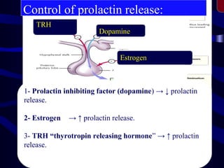 1- Prolactin inhibiting factor (dopamine) → ↓ prolactin
release.
2- Estrogen → ↑ prolactin release.
3- TRH “thyrotropin re...