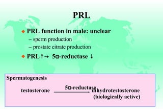 PRL PRL function in male: unclear sperm production prostate citrate production PRL ↑->   5 α -reductase  ↓ Spermatogenesis testosterone  dihydrotestosterone (biologically active)  5 α -reductase 