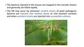 Hypersensitive response ( HR ) in plants | PPTX