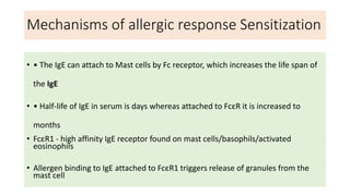 Mechanisms of allergic response Sensitization
• • The IgE can attach to Mast cells by Fc receptor, which increases the life span of
the IgE
• • Half-life of IgE in serum is days whereas attached to FcεR it is increased to
months
• FcεR1 - high affinity IgE receptor found on mast cells/basophils/activated
eosinophils
• Allergen binding to IgE attached to FcεR1 triggers release of granules from the
mast cell
 