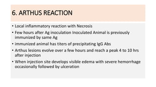 6. ARTHUS REACTION
• Local inflammatory reaction with Necrosis
• Few hours after Ag inoculation Inoculated Animal is previously
immunized by same Ag
• immunized animal has titers of precipitating IgG Abs
• Arthus lesions evolve over a few hours and reach a peak 4 to 10 hrs
after injection
• When injection site develops visible edema with severe hemorrhage
occasionally followed by ulceration
 