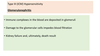 Type III (ICM) Hypersensitivity
Glomerulonephritis
• Immune complexes in the blood are deposited in glomeruli
• Damage to the glomerular cells impedes blood filtration
• Kidney failure and, ultimately, death result
 