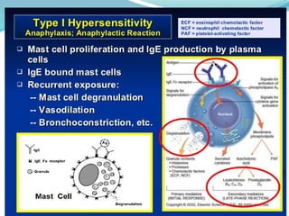 Comprehensive Overview of Hypersensitivity and Autoimmune Disorders in ...