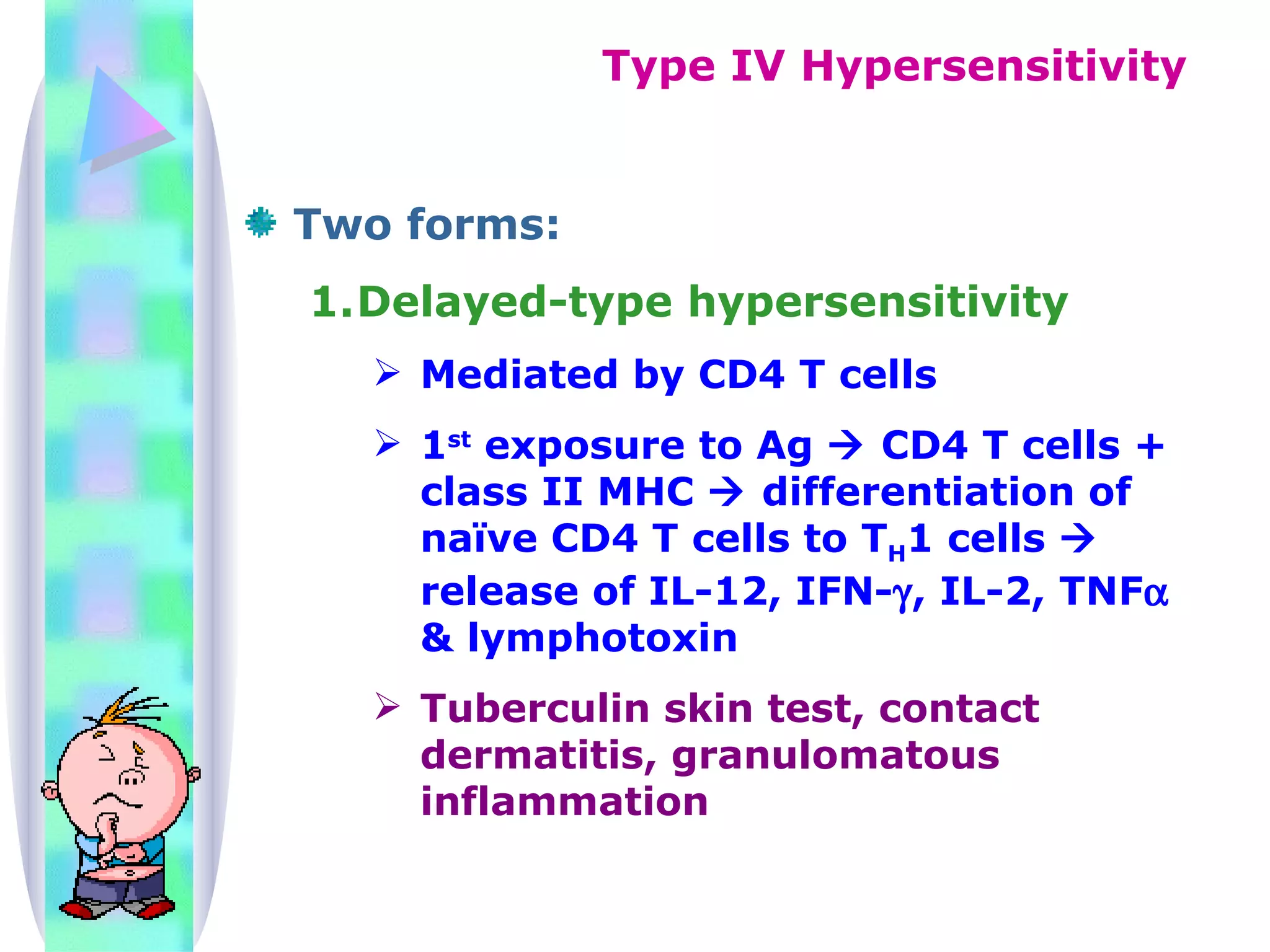 Hypersensitivity | PPT