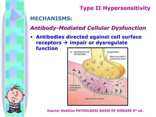 MECHANISMS: Antibody-Mediated Cellular Dysfunction Antibodies directed against cell surface receptors    impair or dysregulate function  Type II Hypersensitivity Source: Robbins PATHOLOGIC BASIS OF DISEASE 6 th  ed. 