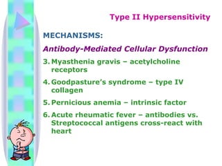 MECHANISMS: Antibody-Mediated Cellular Dysfunction Myasthenia gravis – acetylcholine receptors Goodpasture’s syndrome – type IV collagen Pernicious anemia – intrinsic factor Acute rheumatic fever – antibodies vs. Streptococcal antigens cross-react with heart Type II Hypersensitivity 