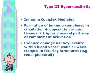Immune Complex Mediated Formation of immune complexes in circulation    deposit in various tissues    trigger classical pathway of complement activation Produce damage as they localize within blood vessel walls or when trapped in filtering structures (e.g. renal glomeruli) Type III Hypersensitivity 