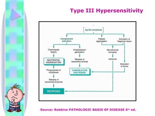 Type III Hypersensitivity Source: Robbins PATHOLOGIC BASIS OF DISEASE 6 th  ed. 