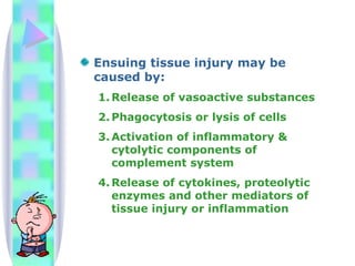 Ensuing tissue injury may be caused by: Release of vasoactive substances Phagocytosis or lysis of cells Activation of inflammatory & cytolytic components of complement system Release of cytokines, proteolytic enzymes and other mediators of tissue injury or inflammation 