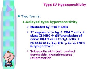 Two forms: Delayed-type hypersensitivity Mediated by CD4 T cells 1 st  exposure to Ag    CD4 T cells + class II MHC    differentiation of naïve CD4 T cells to T H 1 cells    release of IL-12, IFN-  , IL-2, TNF   & lymphotoxin Tuberculin skin test, contact dermatitis, granulomatous inflammation Type IV Hypersensitivity 