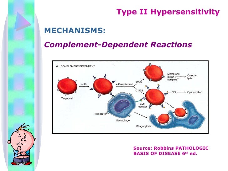of thrombocytopenia 4 mechanisms Hypersensitivity of thrombocytopenia 4 mechanisms Hypersensitivity