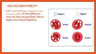 Hypersensitivity | PPTX