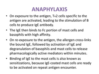 ANAPHYLAXIS
• On exposure to the antigen, TH2 cells specific to the
antigen are activated, leading to the stimulation of B
cells to produce IgE antibody.
• The IgE then binds to Fc portion of mast cells and
basophils with high affinity.
• On re-exposure to the antigen, the allergen cross-links
the bound IgE, followed by activation of IgE and
degranulation of basophils and mast cells to release
pharmacologically active mediators within minutes.
• Binding of IgE to the mast cells is also known as
sensitizations, because IgE-coated mast cells are ready
to be activated on repeat antigen encounter.
 