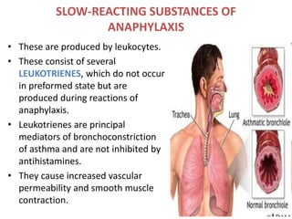 SLOW-REACTING SUBSTANCES OF
ANAPHYLAXIS
• These are produced by leukocytes.
• These consist of several
LEUKOTRIENES, which do not occur
in preformed state but are
produced during reactions of
anaphylaxis.
• Leukotrienes are principal
mediators of bronchoconstriction
of asthma and are not inhibited by
antihistamines.
• They cause increased vascular
permeability and smooth muscle
contraction.
 