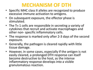 Hypersensitivity | PPTX