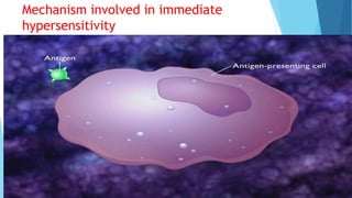 Mechanism involved in immediate
hypersensitivity
 