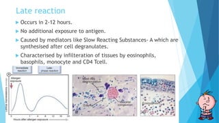 Late reaction
 Occurs in 2-12 hours.
 No additional exposure to antigen.
 Caused by mediators like Slow Reacting Substances- A which are
synthesised after cell degranulates.
 Characterised by infilteration of tissues by eosinophils,
basophils, monocyte and CD4 Tcell.
 