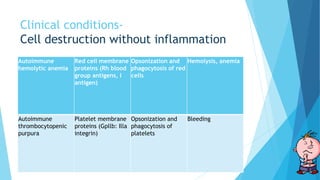 Clinical conditions-
Cell destruction without inflammation
Autoimmune
hemolytic anemia
Red cell membrane
proteins (Rh blood
group antigens, I
antigen)
Opsonization and
phagocytosis of red
cells
Hemolysis, anemia
Autoimmune
thrombocytopenic
purpura
Platelet membrane
proteins (Gpllb: Illa
integrin)
Opsonization and
phagocytosis of
platelets
Bleeding
 