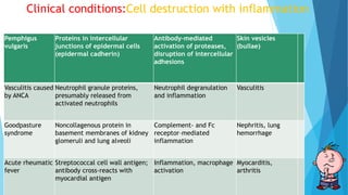 Clinical conditions:Cell destruction with inflammation
Pemphigus
vulgaris
Proteins in intercellular
junctions of epidermal cells
(epidermal cadherin)
Antibody-mediated
activation of proteases,
disruption of intercellular
adhesions
Skin vesicles
(bullae)
Vasculitis caused
by ANCA
Neutrophil granule proteins,
presumably released from
activated neutrophils
Neutrophil degranulation
and inflammation
Vasculitis
Goodpasture
syndrome
Noncollagenous protein in
basement membranes of kidney
glomeruli and lung alveoli
Complement- and Fc
receptor–mediated
inflammation
Nephritis, lung
hemorrhage
Acute rheumatic
fever
Streptococcal cell wall antigen;
antibody cross-reacts with
myocardial antigen
Inflammation, macrophage
activation
Myocarditis,
arthritis
 