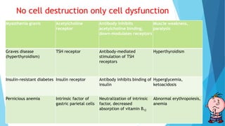 No cell destruction only cell dysfunction
Myasthenia gravis Acetylcholine
receptor
Antibody inhibits
acetylcholine binding,
down-modulates receptors
Muscle weakness,
paralysis
Graves disease
(hyperthyroidism)
TSH receptor Antibody-mediated
stimulation of TSH
receptors
Hyperthyroidism
Insulin-resistant diabetes Insulin receptor Antibody inhibits binding of
insulin
Hyperglycemia,
ketoacidosis
Pernicious anemia Intrinsic factor of
gastric parietal cells
Neutralization of intrinsic
factor, decreased
absorption of vitamin B12
Abnormal erythropoiesis,
anemia
 