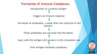 Formation of Immune Complexes.
Introduction of a protein antigen
triggers an immune response
formation of antibodies, a week after the injection of the
protein.
These antibodies are secreted into the blood,
react with the antigen still present in the circulation and
form antigen-antibody complexes.
 