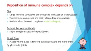 Deposition of immune complex depends on
Size
 Large immune complexes are deposited in tissues or phagocytosed.
 Tiny immune complexes are easily cleared by phagocytosis
 Medium sized immune complexes most pathogenic
Ratio of Antigen: antibody
 Slight antigen excess more pathogenic
Blood Flow
 Places where blood is filtered at high pressure are more prone.
Eg glomeruli, joints
 
