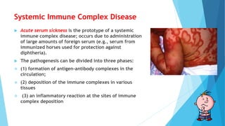 Systemic Immune Complex Disease
 Acute serum sickness is the prototype of a systemic
immune complex disease; occurs due to administration
of large amounts of foreign serum (e.g., serum from
immunized horses used for protection against
diphtheria).
 The pathogenesis can be divided into three phases:
 (1) formation of antigen-antibody complexes in the
circulation;
 (2) deposition of the immune complexes in various
tissues
 (3) an inflammatory reaction at the sites of immune
complex deposition
 
