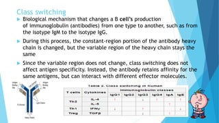 Class switching
 Biological mechanism that changes a B cell’s production
of immunoglobulin (antibodies) from one type to another, such as from
the isotype IgM to the isotype IgG.
 During this process, the constant-region portion of the antibody heavy
chain is changed, but the variable region of the heavy chain stays the
same
 Since the variable region does not change, class switching does not
affect antigen specificity. Instead, the antibody retains affinity for the
same antigens, but can interact with different effector molecules.
 