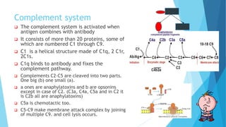 Complement system
 The complement system is activated when
antigen combines with antibody
 It consists of more than 20 proteins, some of
which are numbered C1 through C9.
 C1 is a helical structure made of C1q, 2 C1r,
2C1s.
 C1q binds to antibody and fixes the
complement pathway.
 Complements C2-C5 are cleaved into two parts.
One big (b) one small (a).
 a ones are anaphylatoxins and b are opsonins
except in case of C2. (C3a, C4a, C5a and in C2 it
is C2b all are anaphylatoxins)
 C5a is chemotactic too.
 C5-C9 make membrane attack complex by joining
of multiple C9. and cell lysis occurs.
 