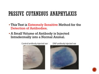 ▪ This Test is Extremely Sensitive Method for the
Detection of Antibodies.
▪ A Small Volume of Antibody is Injected
Intradermally into a Normal Animal.
 