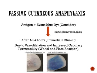 Antigen + Evans blue Dye(Consider)
After 4-24 hours , Immediate Blueing
Due to Vasodilatation and Increased Capillary
Permeability (Wheal and Flare Reaction)
Injected Intravenously
 