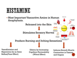 ▪ Most Important Vasoactive Amine in Human
Anaphylaxis.
Released into the Skin
Stimulates Sensory Nerves
Produce Burning and Itching Sensations
Vasodilatation and
Hyperemia by an Axon
Reflex(Flare Effect)
Edema by Increasing
Capillary Permeability
(Wheal Effect)
Induces Smooth Muscle
Contraction in Tissues
and Organs
 