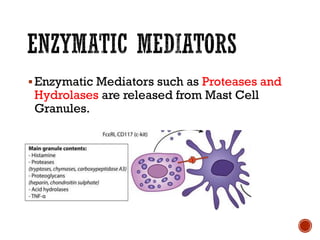 ▪Enzymatic Mediators such as Proteases and
Hydrolases are released from Mast Cell
Granules.
 