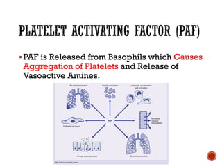 ▪PAF is Released from Basophils which Causes
Aggregation of Platelets and Release of
Vasoactive Amines.
 